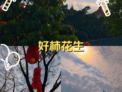 -广东圆玄道观