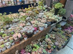 -香炉礁家具市场