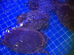 -七欣天香辣蟹火锅(无锡金太湖国际城店)