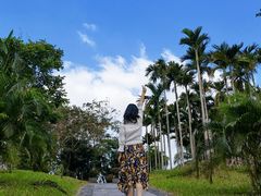-沙美村