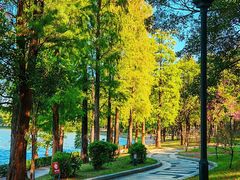 -南国桃园旅游度假区