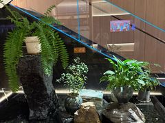 -连鹭海鲜·海肠捞饭·海胆饭(星海店)