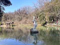 -善卷洞风景区
