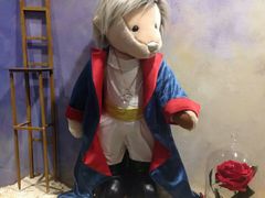 -济州岛泰迪熊博物馆