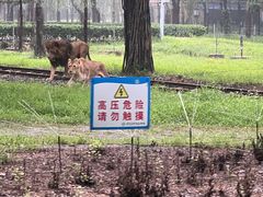 -秦皇岛野生动物园
