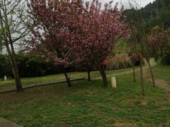 -贵阳市花溪国家城市湿地公园