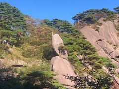 -黄山风景区