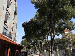 -金陵中学(河西分校)