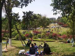 -铁山坪森林公园