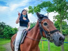 -广东花都香草世界旅游度假区