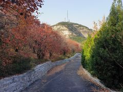 -佛慧山