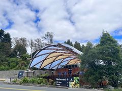 -怀托摩萤火虫洞