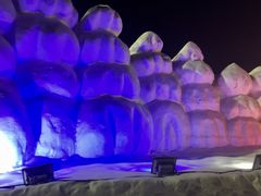 -沈阳奥体冰雪嘉年华