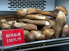 -太婆天府山珍酒楼(亚运村店)