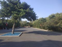 -北陵公园
