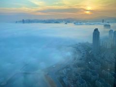 -大连君悦酒店·星海湾壹号Dalian·Dalian(星海广场店)