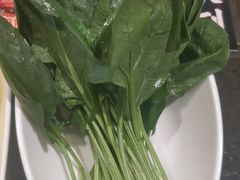 -蒙都43°9羊火锅(平庄店)