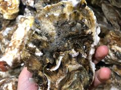 -将相和·海鲜蒸饺大连菜