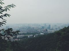 -浙江大学(玉泉校区)