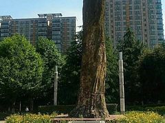 -中南林业科技大学图书馆(西馆)
