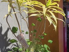 -陈熹公民族美食文化餐厅(中华广场店)