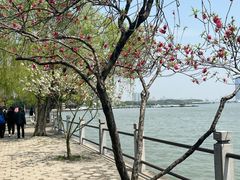 -无锡蠡湖国家湿地公园-蠡园