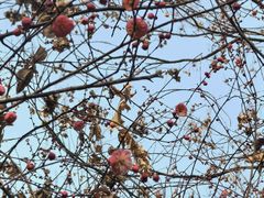 -木塔寺遗址生态公园