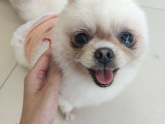 -怪兽屋·羊驼·猫咖·狗咖(俊华广场店)