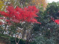 -中国移动(永兴路营业厅)