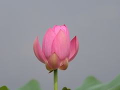 -裕华世纪公园