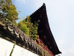 -枫桥景区