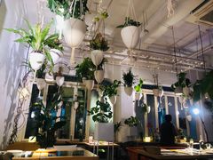 大堂-春树下·树屋花房西餐厅(罍街AS1980店)