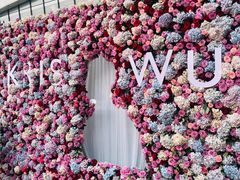 -梦之蓝青奥体育公园体育馆