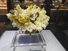 -湖南省地质博物馆