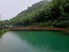 -龙坞茶村