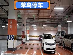 -福州长乐国际机场航站楼-停车场