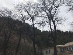 -延安杨家岭革命旧址