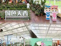 -盈香心动乐园