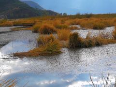 -泸沽湖国家级风景名胜区走婚桥