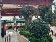 -拉萨圣地天堂洲际大饭店-自助餐厅