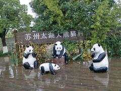 -太湖湖滨国家湿地公园-停车场