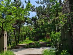 -北岭山森林公园
