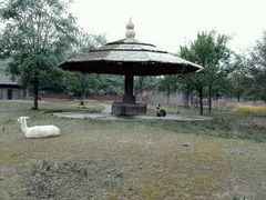 -石家庄市动物园