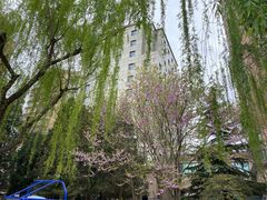 -团结湖公园