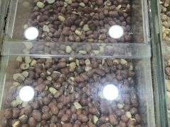 -刘艳明炒货(小心桥店)