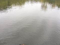 -小六汤包(万和城店)