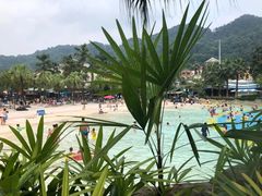 -重庆海昌加勒比海水世界