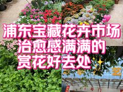 -双季花艺园艺市场(浦东店)