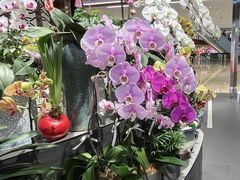 -Olé精品超市(广州太古汇店)