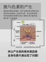 -+MS卓美丝专业祛痘·皮肤管理中心